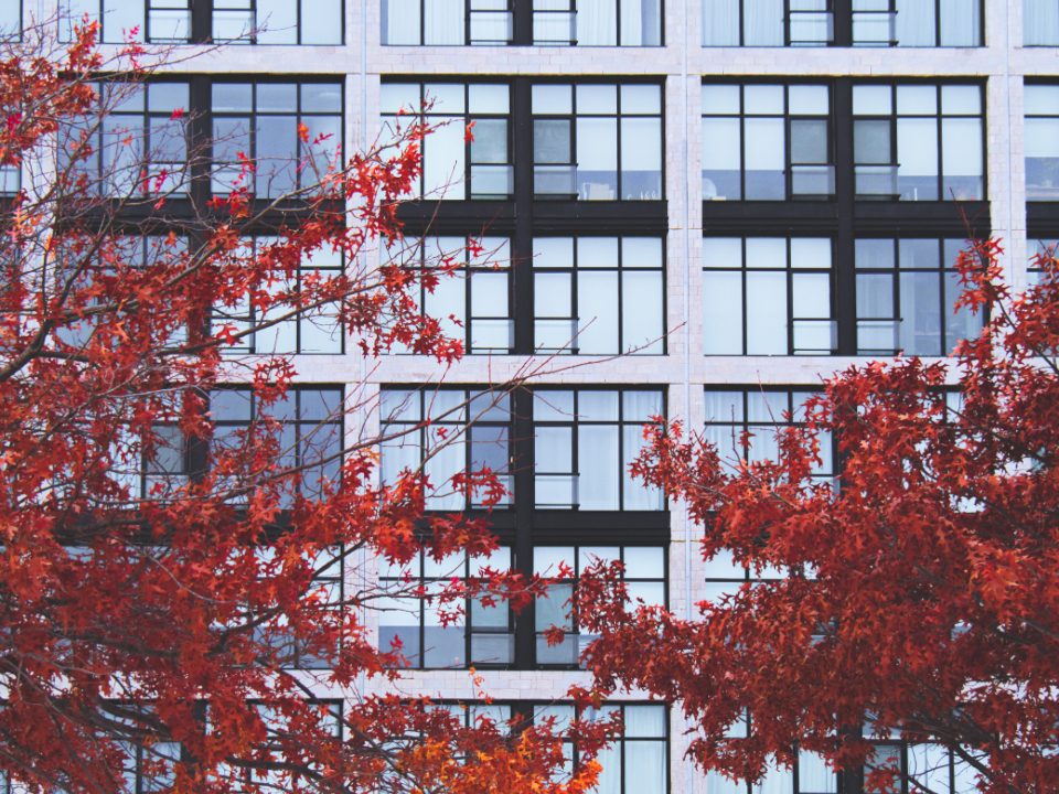 260 Example Road, Your City ST
